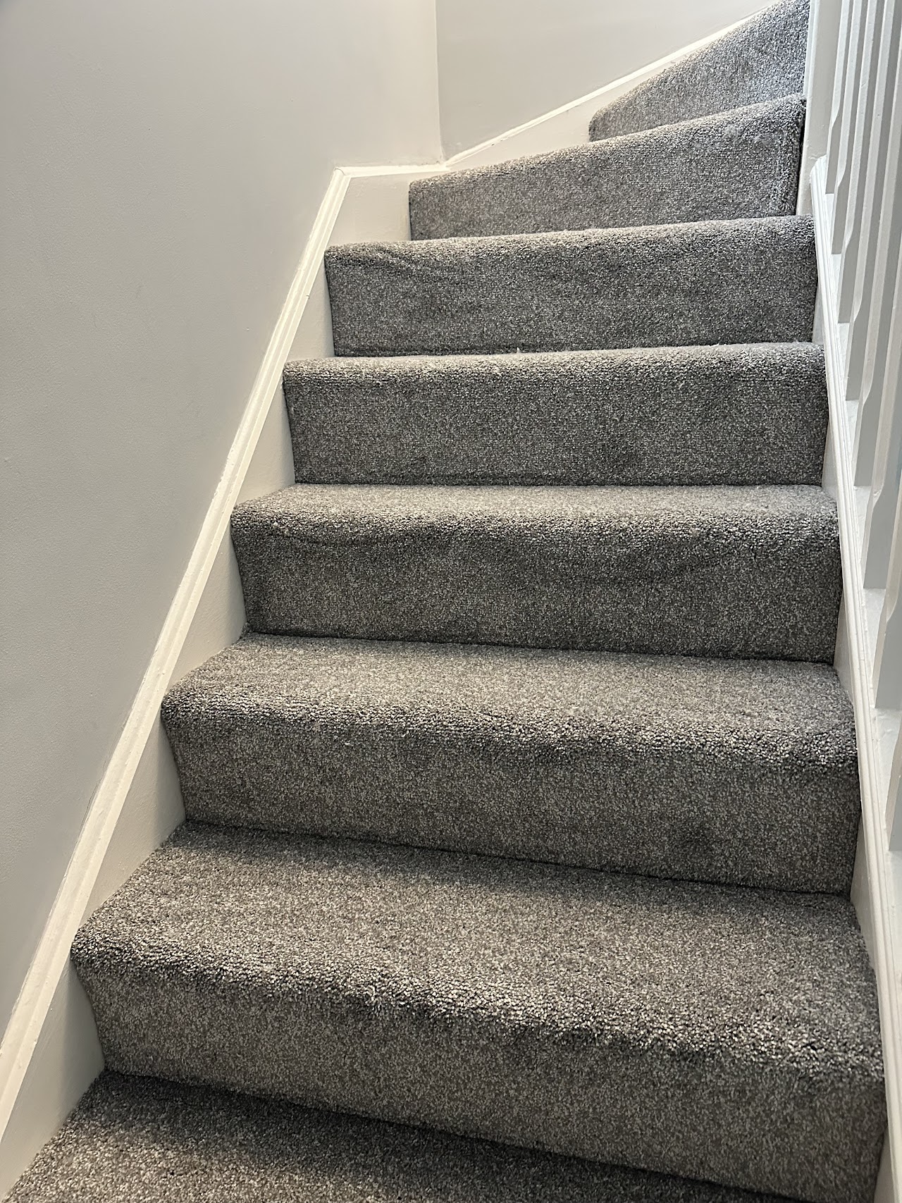 L & M Carpets — photo