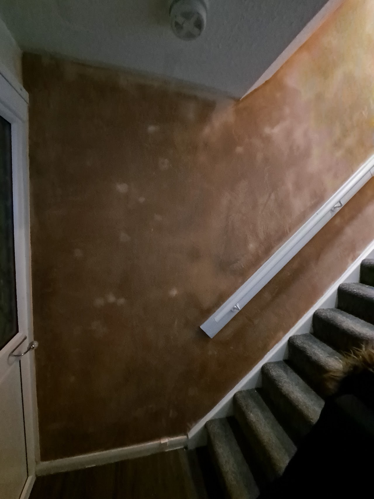 R.A.D Properties & Renovations — photo